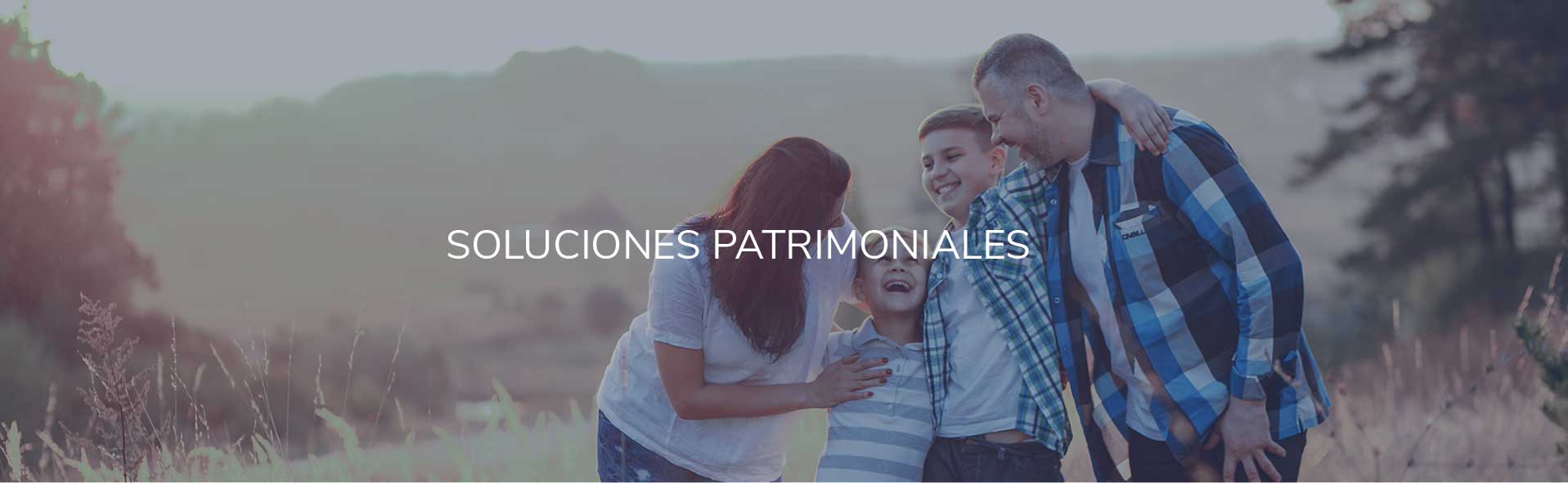 soluciones patrimoniales